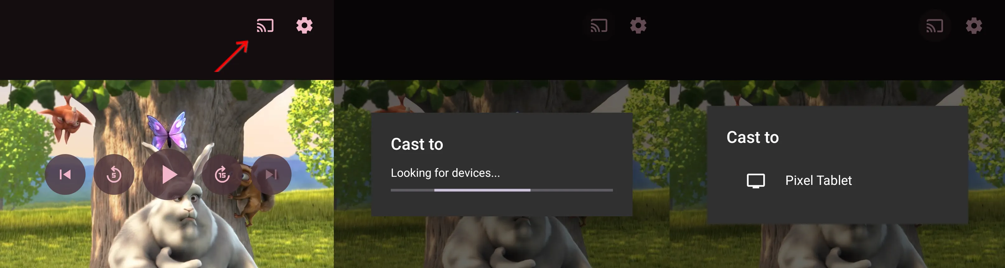 cast_button_2.png