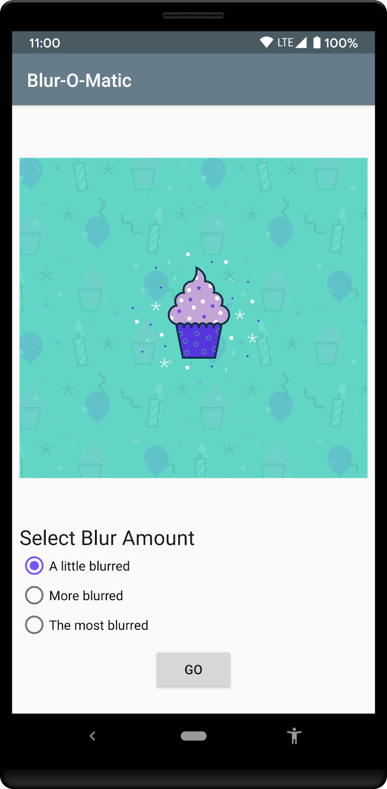 Écran qui s'affiche une fois l'image sélectionnée dans la galerie, avec des cases d'option pour définir le niveau de flou souhaité et le bouton "Go" (Démarrer) pour lancer le processus de floutage.