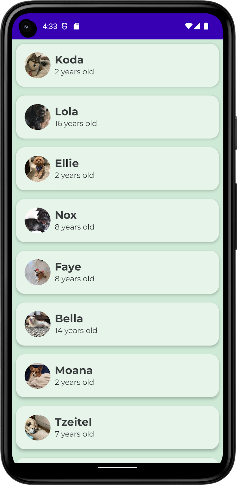 Esta imagem mostra um app com uma lista de cachorros, incluindo nomes, fotos e idades. O app inclui cores, formas e tipografia personalizadas.