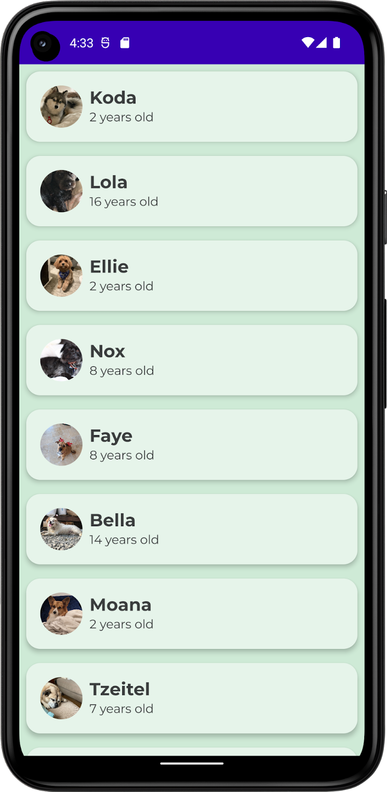 圖中顯示應用程式，以及包含犬隻名稱、相片和年齡的犬隻清單。此應用程式包含自訂顏色、形狀和字體排版。