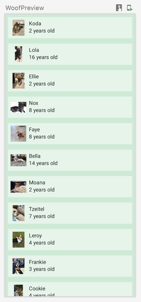 この画像は、犬の名前、写真、年齢を含むリストを表示する WoofPreview のアプリを示しています。このアプリには、アプリの背景色とリストアイテムの背景色、テキストの色が含まれています。