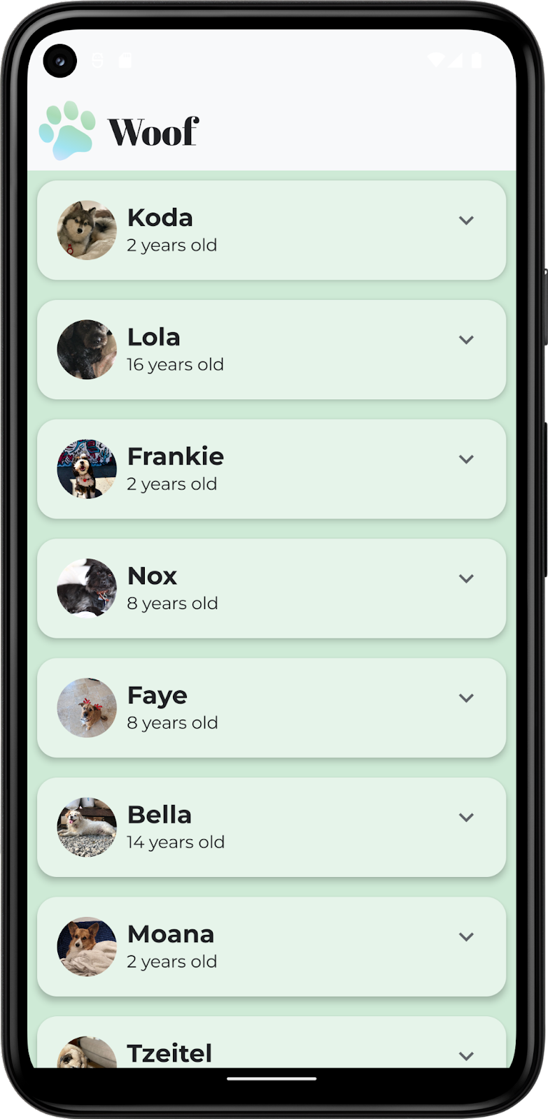 Esta imagem mostra o app Woof com uma barra de status personalizada no tema claro.