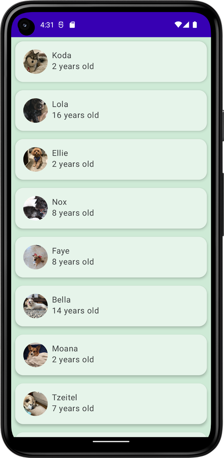 Esta imagem mostra um app com uma lista de cachorros, incluindo nomes, fotos e idades. Ele inclui cores e formas personalizadas.