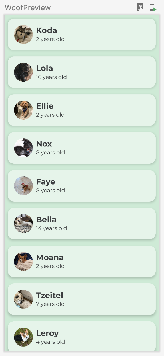 Esta imagem mostra uma visualização com uma lista de cachorros, incluindo os nomes, fotos e idades deles. O app inclui cores, formas e tipografia personalizadas.
