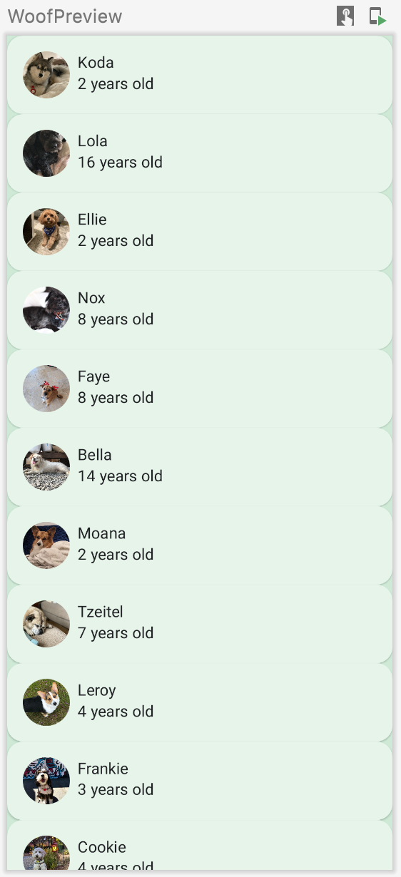 この画像は、犬の名前、写真、年齢を含むリストを表示するプレビューを示しています。このアプリにはカスタムカラーが含まれており、リストアイテムの角が丸められています。