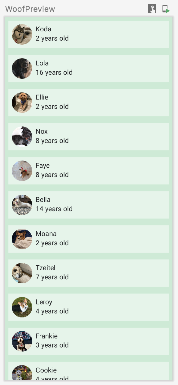 此图片显示了一款应用，其中包含狗狗的列表，列表中包含狗狗的名字、照片和年龄。此应用包含自定义颜色，狗狗照片是圆形的。