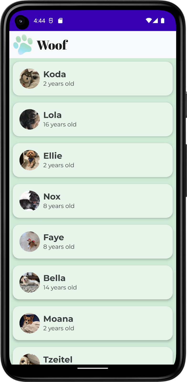 Esta imagem mostra um app com uma lista de cachorros, incluindo nomes, fotos e idades. Ele inclui cores, formas e tipografia personalizadas, além de uma barra na parte de cima.