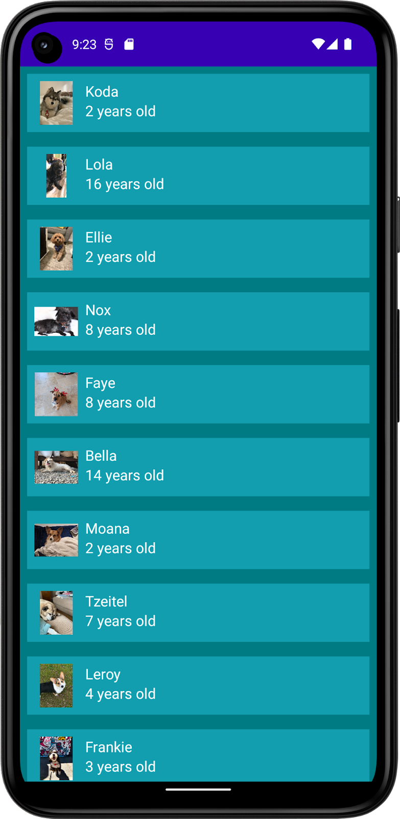 Cette image montre une application avec une liste de chiens, avec leur nom, leur photo et leur âge. Cette application inclut une couleur d'arrière-plan pour l'application, une couleur d'arrière-plan pour les éléments de liste, et une couleur pour le texte. Ici, le thème sombre est appliqué.
