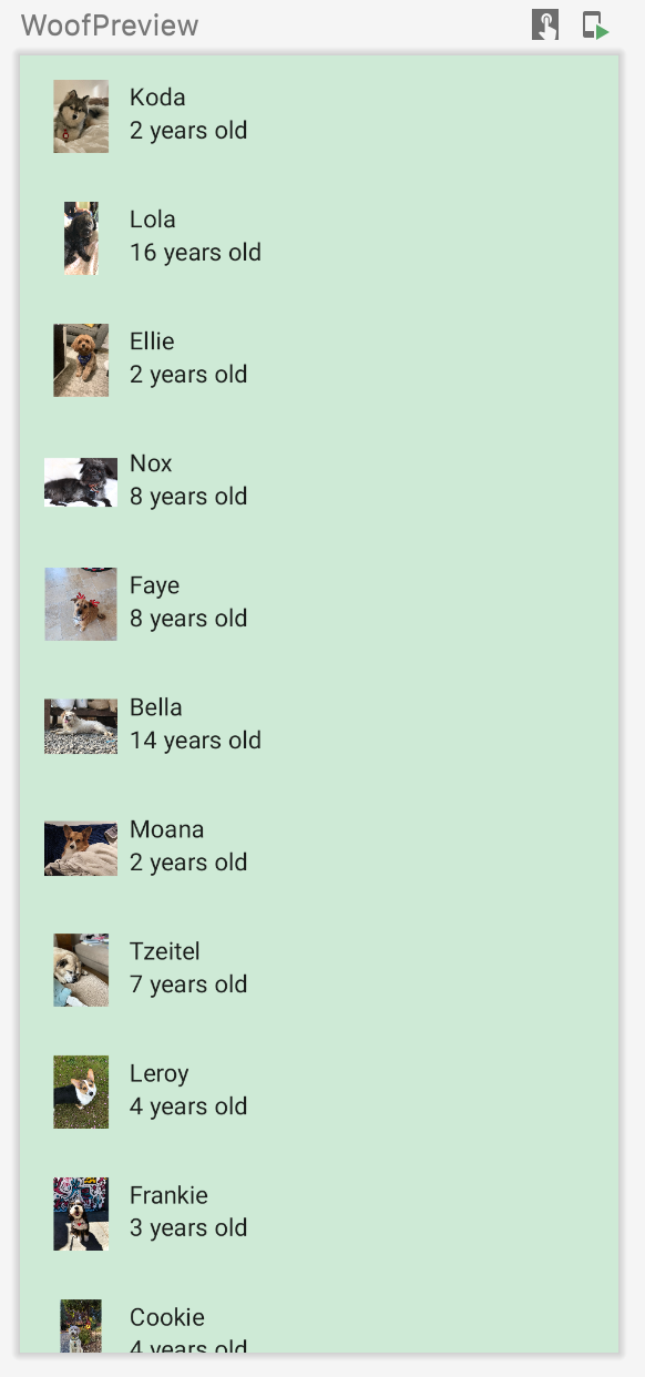 この画像は、犬の名前、写真、年齢を含むリストを表示する WoofPreview のアプリを示しています。このアプリには背景色が含まれています。