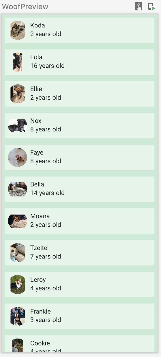 Gambar ini menampilkan aplikasi dengan daftar anjing yang menyertakan nama, foto, dan usianya. Aplikasi ini menyertakan warna kustom dan foto anjing berbentuk lingkaran.