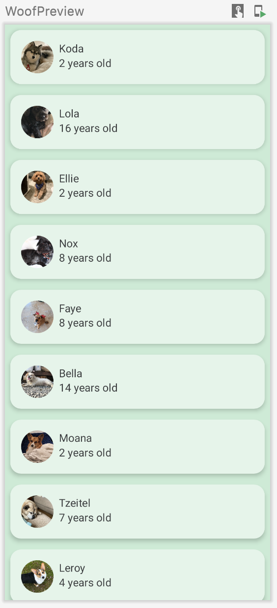この画像は、犬の名前、写真、年齢を含むリストを表示するプレビューを示しています。このアプリにはカスタムカラーが含まれており、リストアイテムの角が丸められています。また、背景とリストアイテムとの間にエレベーションが加えられています。