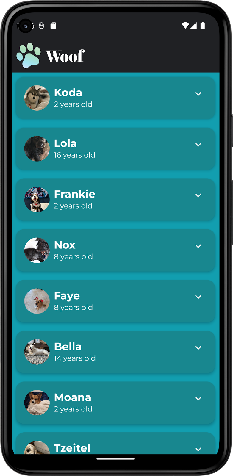 Esta imagem mostra o app Woof com uma barra de status personalizada no tema escuro.