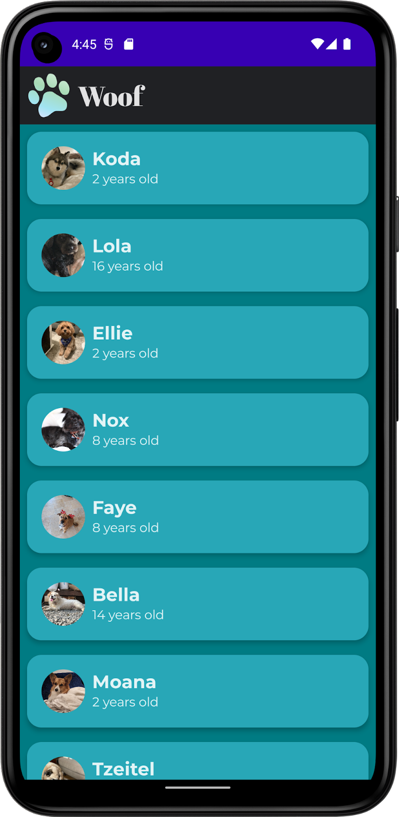 Esta imagem mostra um app com uma lista de cachorros, incluindo os nomes, fotos e idades deles. Ele inclui cores, formas e tipografia personalizadas, além de uma barra na parte de cima. O app sendo mostrado no modo escuro.