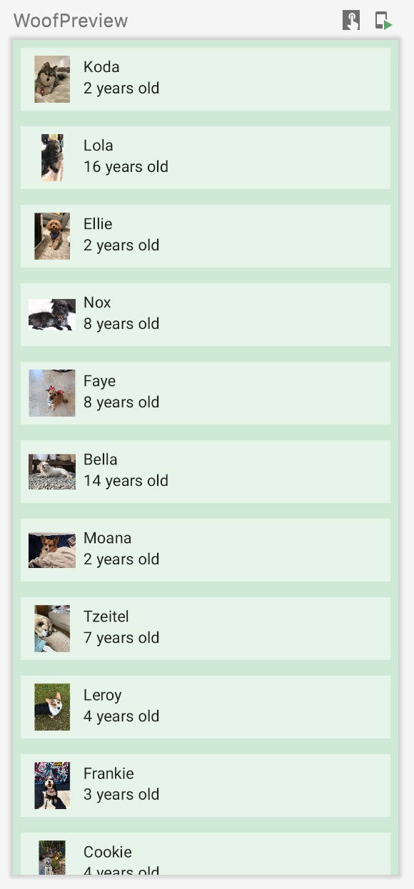 Esta imagem mostra um app na DefaultPreview com uma lista de cachorros, incluindo nomes, fotos e idades. O app inclui uma cor para o próprio segundo plano e outra cor de segundo plano para os itens da lista.