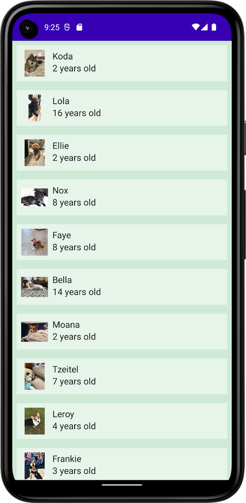 Esta imagem mostra um app na DefaultPreview com uma lista de cachorros, incluindo os nomes, fotos e idades deles. O app inclui uma cor para o próprio segundo plano, uma cor para o segundo plano dos itens da lista e uma cor para o texto.