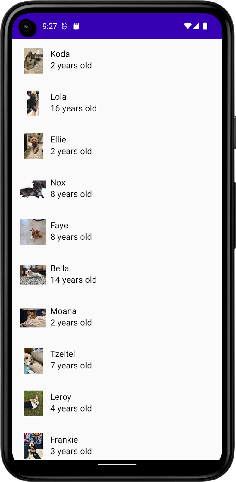 Esta imagem mostra um app com uma lista de cachorros, incluindo nomes, fotos e idades. 