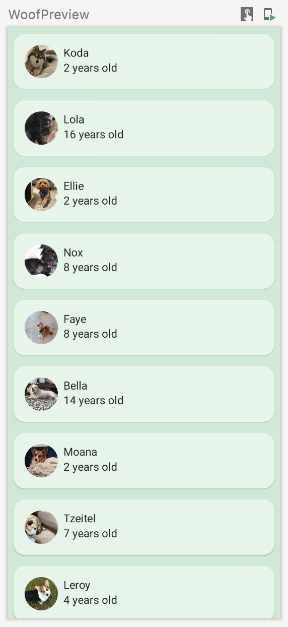 Esta imagem mostra uma visualização com uma lista de cachorros, incluindo os nomes, fotos e idades deles. O app inclui cores personalizadas, e os itens da lista têm cantos arredondados.