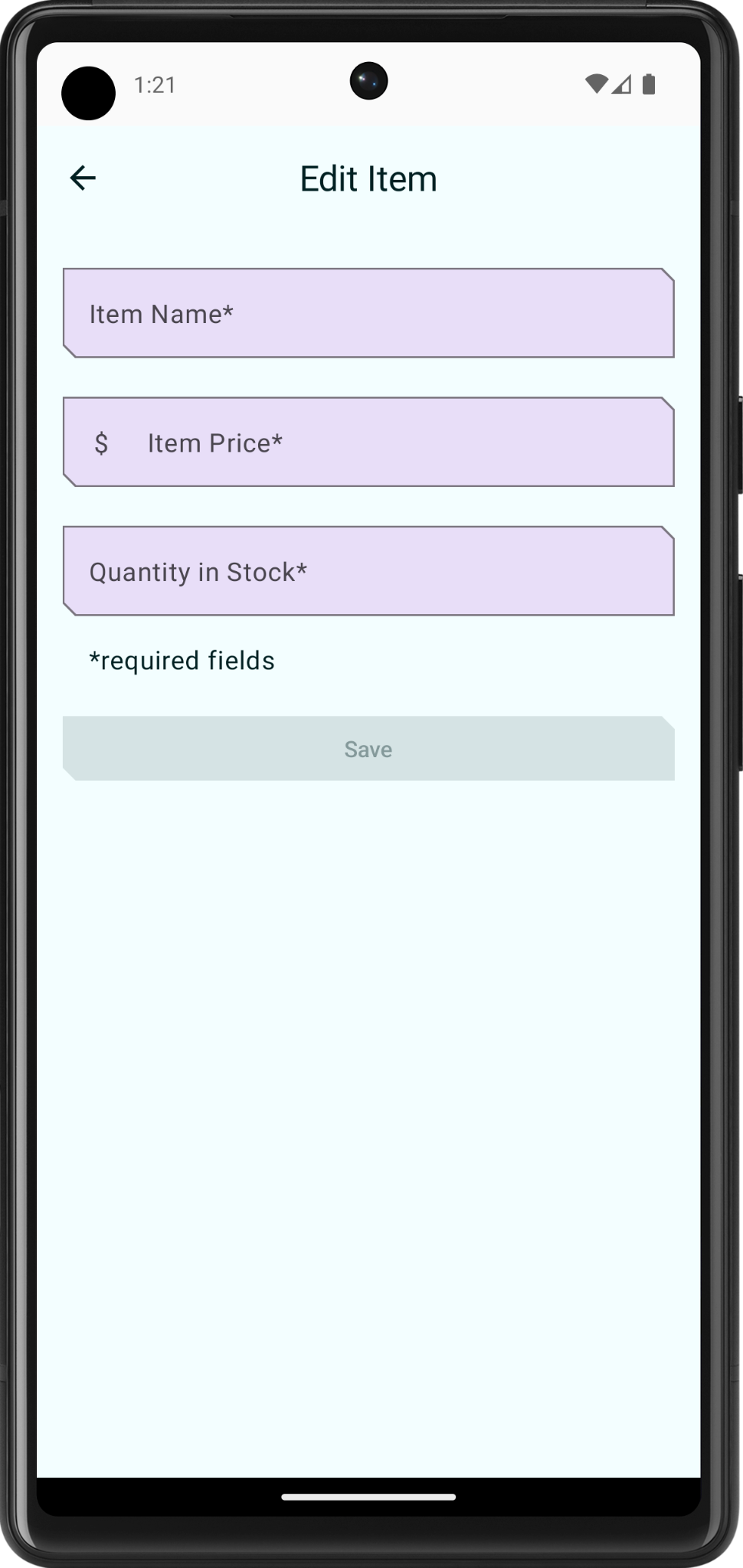 Edit item screen with empty felids