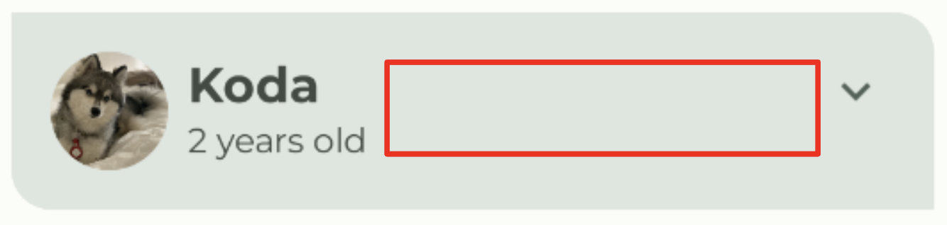 Item da lista do Woof com espaço 733f6d9ef2939ab5.png