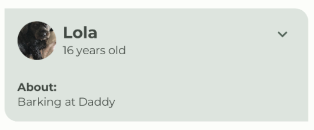 ListItem aberto do Woof bba8146c6332cc37.png