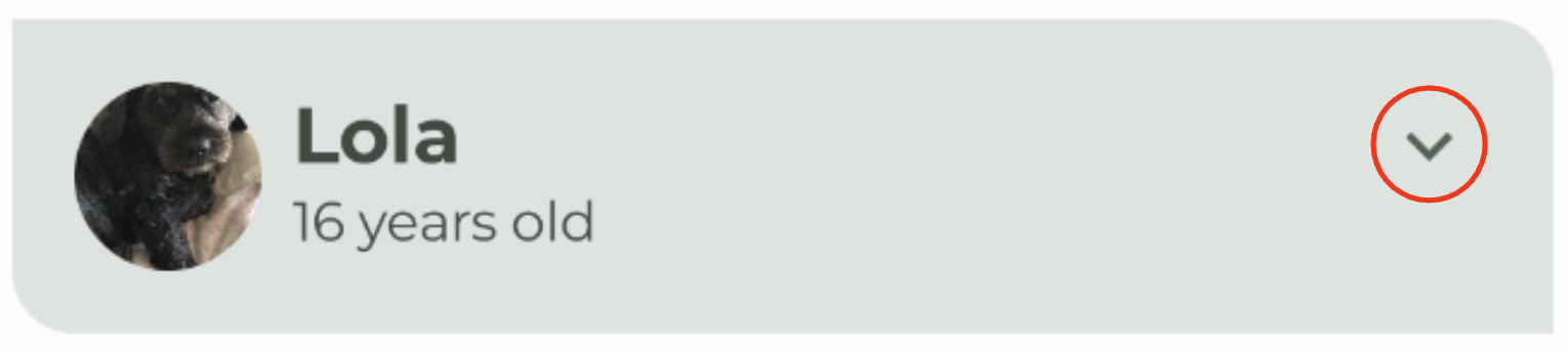 Item de lista do Woof com botão def59d71015c0fbe.png