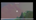 cce55d3f8129935d.png