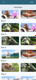 dc7918499a33df31.png