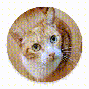 องค์ประกอบ UI จะหดเล็กลงจนมองไม่เห็นและไปรวมกันที่จุดกึ่งกลาง