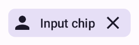 Un chip di input con un avatar e un'icona finale.