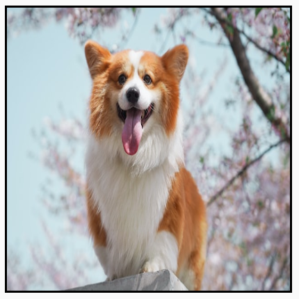 A landscape image distorted to completely fill a square frame, stretching the image.