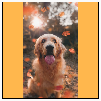 Uma imagem em retrato dimensionada para preencher a altura de um quadro quadrado, mostrando a imagem completa com fundo amarelo visível à esquerda e à direita.