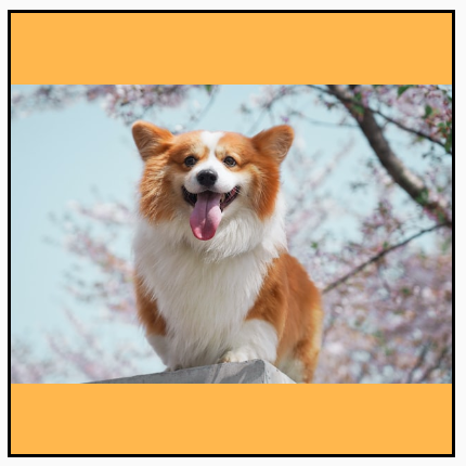 Gambar lanskap yang diskalakan untuk mengisi lebar bingkai persegi, menampilkan gambar penuh dengan latar belakang kuning yang terlihat di bagian atas dan bawah.