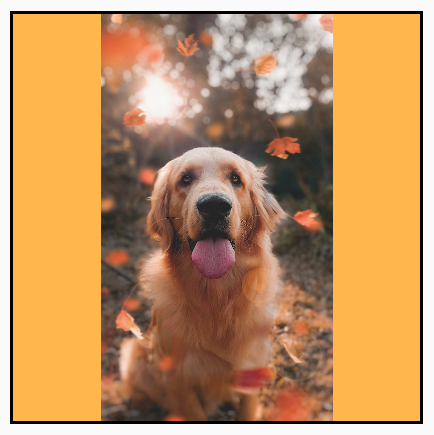Una imagen vertical, originalmente más grande que sus límites cuadrados, se redujo para que quepa y, al mismo tiempo, se mantuvo la relación de aspecto, lo que muestra un fondo amarillo en los laterales.