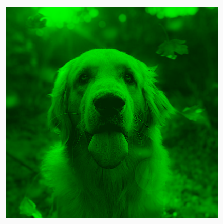 Un cane con una tinta verde applicata utilizzando BlendMode.Darken, che produce tonalità di verde più scure.