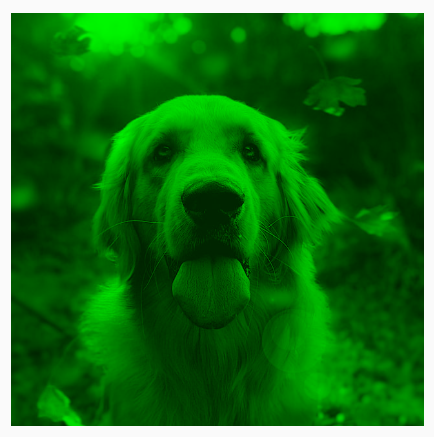 Teinte Color.Green avec BlendMode.Darken