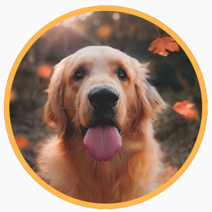 Uma imagem quadrada de um cachorro, cortada em um círculo, com uma borda amarela ao redor da forma circular.