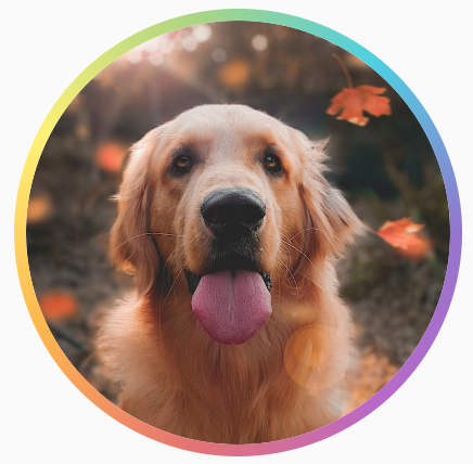 A circular image of a dog with a rainbow gradient border around the circular shape.