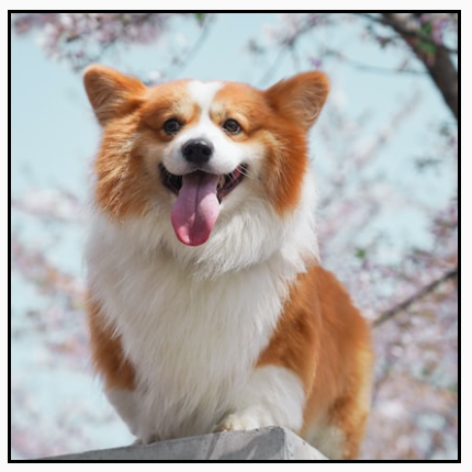 صورة أفقية، كانت في الأصل أكبر من حدودها المربعة، معروضة بحجمها الأصلي، مع أجزاء تمتد إلى ما بعد يسار الإطار ويمينه