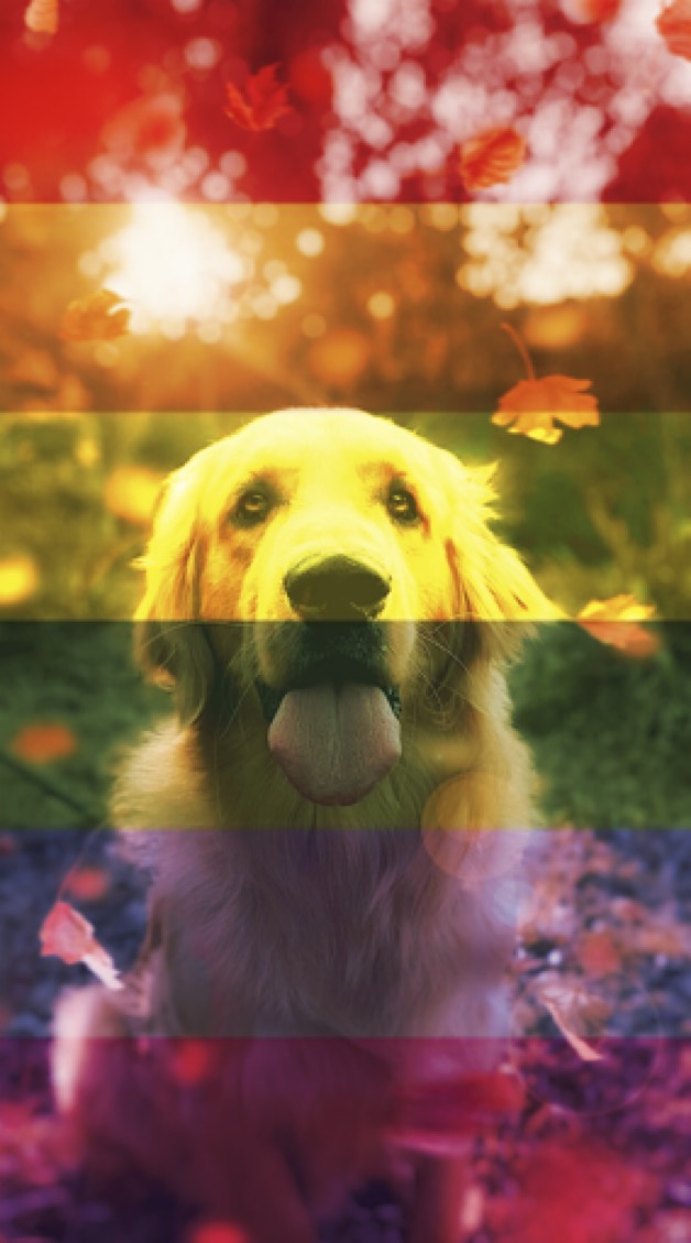 Niestandardowy obiekt malujący, który nakłada na siebie 2 obrazy