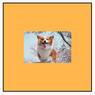 Un'immagine orizzontale, originariamente più piccola dei suoi limiti quadrati, visualizzata nelle sue dimensioni originali all'interno del frame, con uno sfondo giallo intorno.