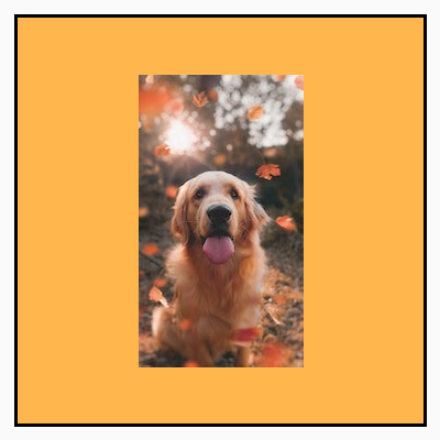 Ein Porträtbild, das ursprünglich kleiner als seine quadratischen Grenzen war, wird im Frame in Originalgröße angezeigt. Um das Bild herum ist ein gelber Hintergrund zu sehen.