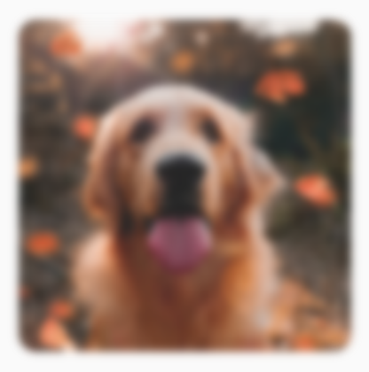 犬のぼかし画像。ぼかしが元の画像の境界を超えて広がり、輪郭がぼやけています。
