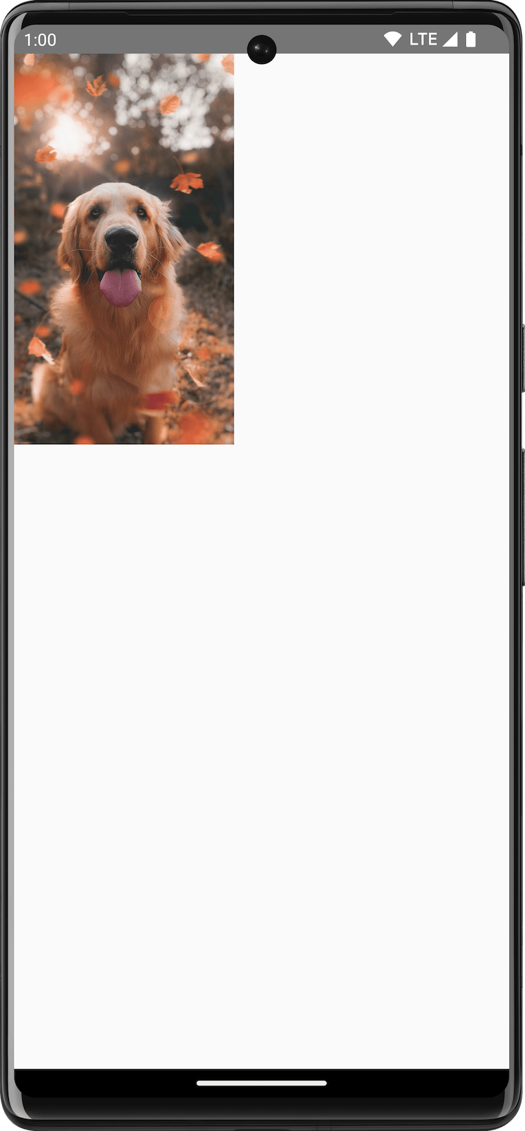 Рисунок собаки, выполненный на холсте.