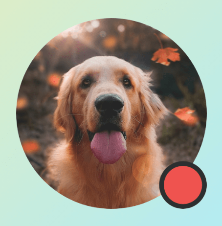 Modifier.drawWithContent ในรูปภาพที่แสดงวงกลม โดยมี BlendMode.Clear และไม่ได้ตั้งค่า CompositingStrategy