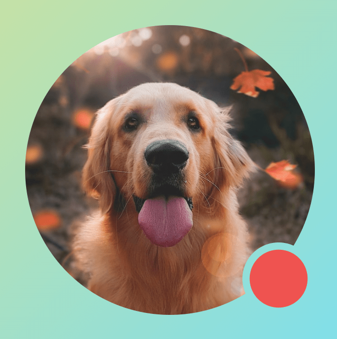 ‫Modifier.drawWithContent على صورة تعرض مؤشرًا دائريًا، مع BlendMode.Clear داخل التطبيق