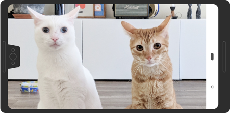 ตัวอย่างการตัดภาพในโหมดแนวนอน