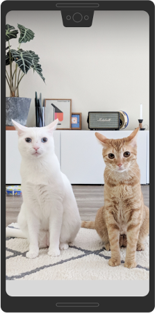 Imagem mostrando conteúdo renderizado na área de corte em modo retrato