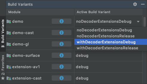 Selecting the demo `withDecoderExtensionsDebug` build variant
