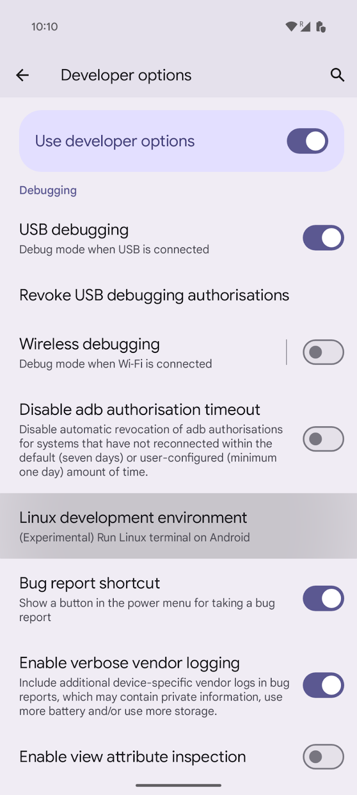 Opzione sviluppatore per l'ambiente di sviluppo Linux