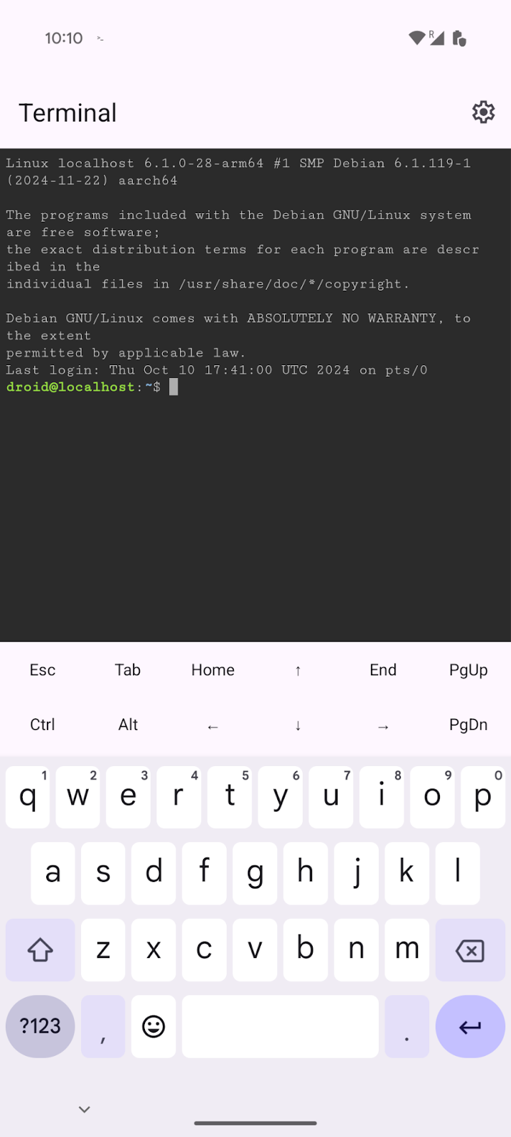 L'interfaccia per l'app Terminal